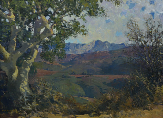 Meredith Brooks Abbott (born 1938), Landscape Near Santa Barbara, 30"x40" o/c